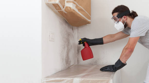Professional Basement Mold Remediation technician working in Scotts, MI