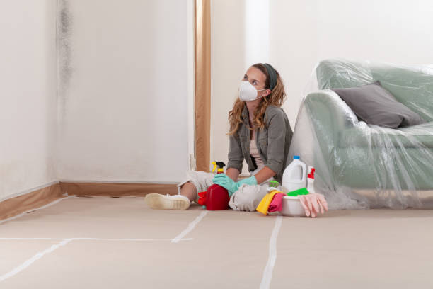Reliable Basement Mold Remediation contractor in Scotts, MI by WQB Mold Removal